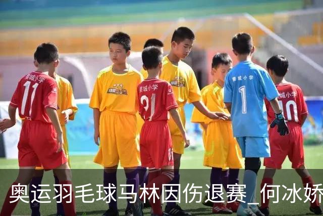 奥运羽毛球马林因伤退赛 何冰娇进决赛将战安洗莹