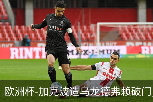 欧洲杯-加克波造乌龙德弗赖破门 荷兰2-1土耳其